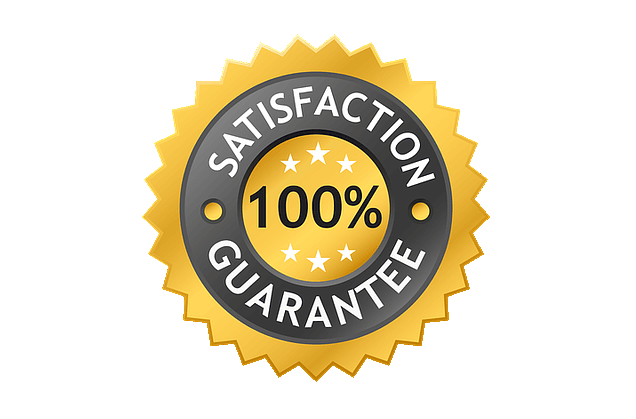 satysfakca 100% landing ebook